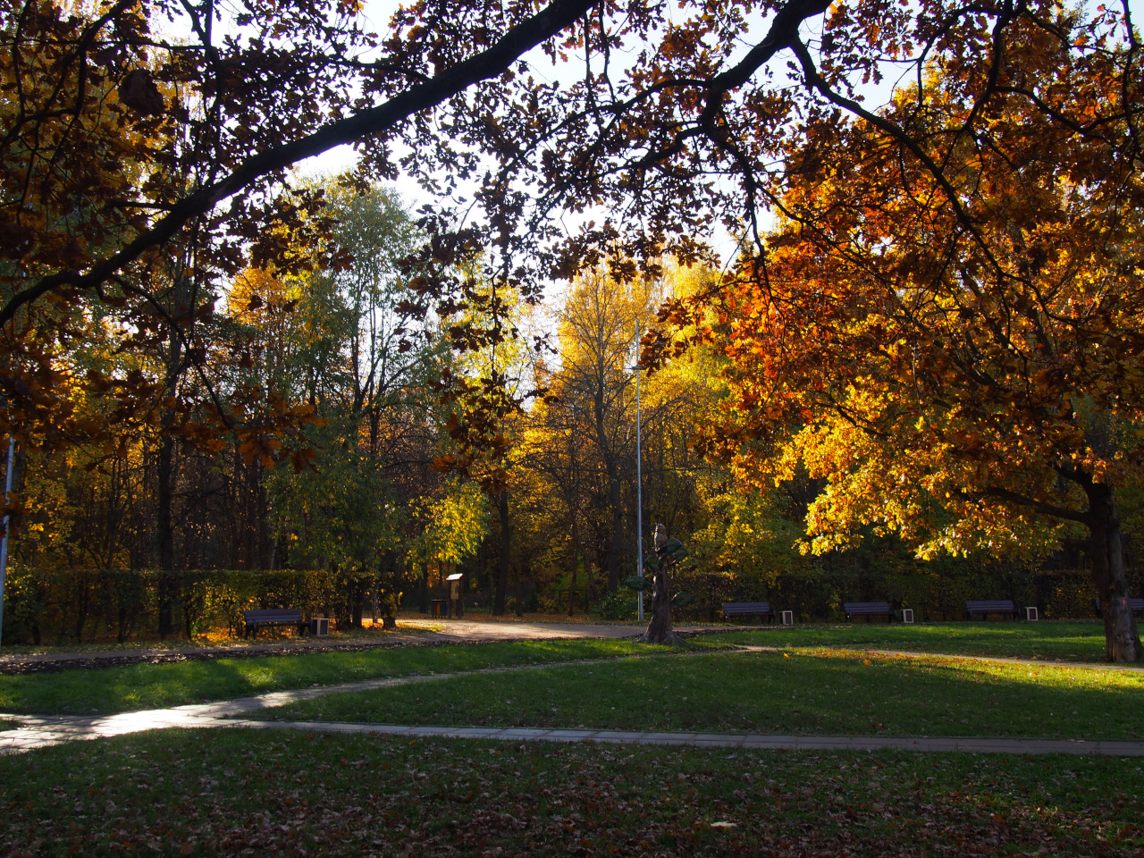 Park Sorghvliet